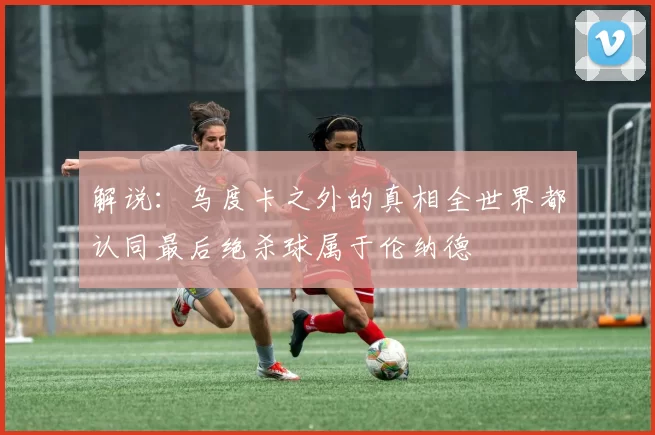 解说：乌度卡之外的真相全世界都认同最后绝杀球属于伦纳德