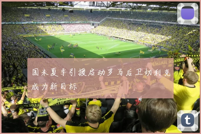 国米夏季引援启动罗马后卫切利克成为新目标