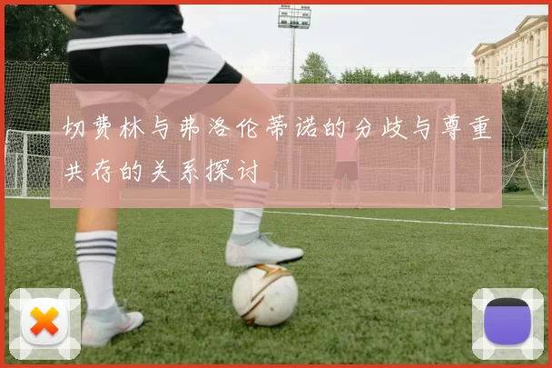 切费林与弗洛伦蒂诺的分歧与尊重共存的关系探讨