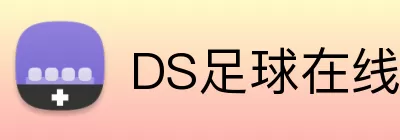 DS足球在线 Logo